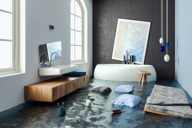 Best Water damage cleanup near me  in Leadville North, CO