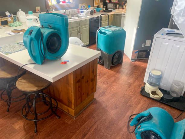 Best Basement water damage restoration  in Leadville North, CO
