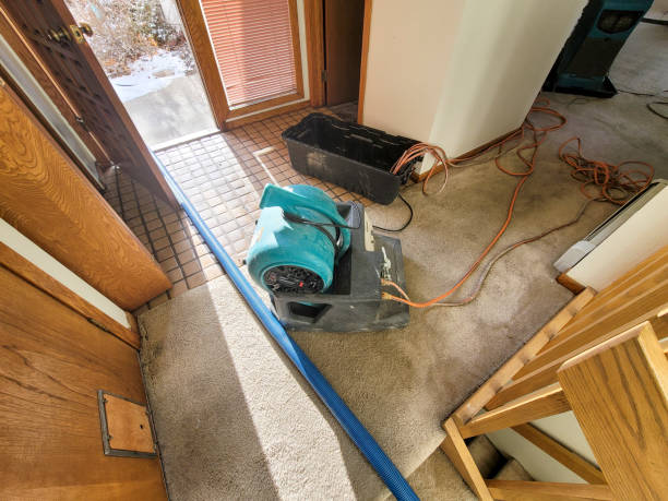 Best Sewage cleanup and water damage restoration  in Leadville North, CO