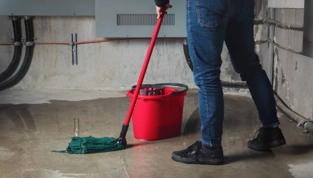 Best Residential water damage restoration  in Leadville North, CO