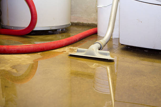Best Flood restoration services  in Leadville North, CO