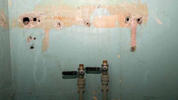 Best Carpet water damage restoration  in Leadville North, CO