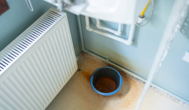 Best Water damage restoration near me  in Leadville North, CO