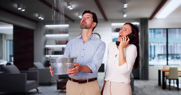 Best Fire Damage Restoration  in Leadville North, CO
