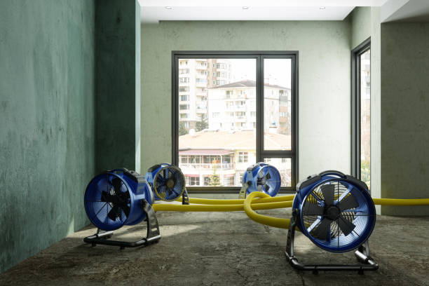 Best Water damage restoration near me  in Leadville North, CO